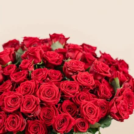 interflora italia|Fiorai Interflora : fiorista più vicino a te .